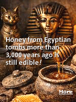 When Howard Carter's team cracked open Tutankhamun's tomb in 1922, the inventory included alabaster jars holding a thick, amber residue that chemists later identified as honey - and the same substance, recovered from sealed pots in tombs across the Nile Valley, has reportedly been tasted by archaeologists who reportedly pronounced it still sweet. The jars were closed sometime around 1323 BCE. And the contents, by every available chemical measure, was still honey.
